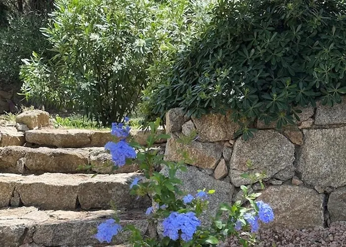 Patios Di Pruno Studio Nino